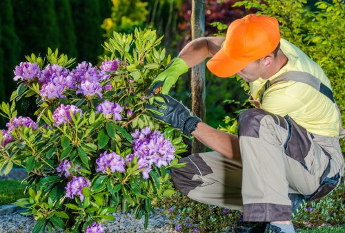 Hedge trimming team in Haringey landscape illustration