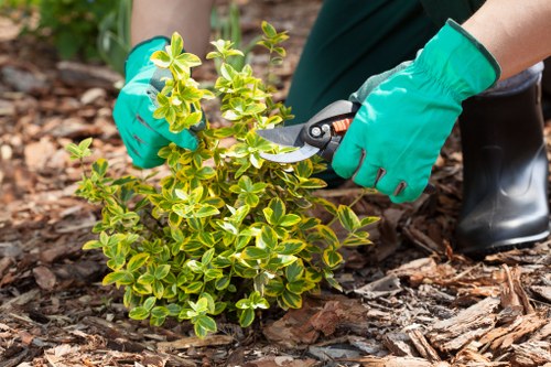 Worker wearing PPE and preparing tools for hedge maintenance