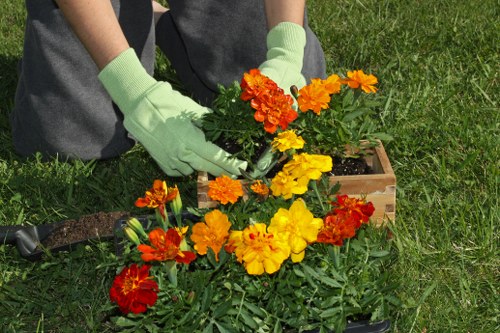 A person wearing light green gardening gloves is planting a variety of brightly coloured flowers, including red, orange, and yellow blooms, into a wooden planter box on a well-maintained lawn. The background features a lush green grassy area with no visible paving or hard surfaces, indicating a cultivated outdoor garden space. The scene captures the act of gardening and plant care, consistent with landscaping and gardening services in the Haringey area, with natural daylight illuminating the plants and the process of planting. The garden has a tidy appearance, with a mix of vibrant flowers set against green foliage, and the planting activity appears to be part of an outdoor maintenance or gardening task, typical of professional services offered by Hedge Trimming Haringey.