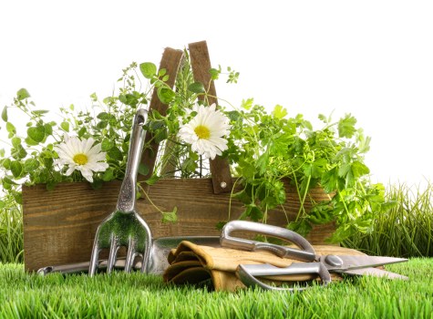 Choosing the right lawn mowing service in Haringey