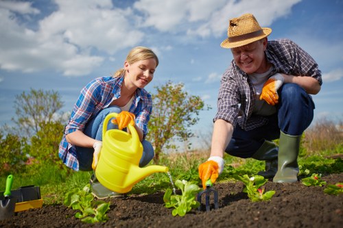 A woman and an older man are engaged in gardening activities in a well-maintained outdoor garden. They are positioned close to the ground, tending to young green lettuce plants in rich, dark soil within a vegetable bed. The woman is holding a yellow watering can, appearing to water the plants, while the man is crouched, using gardening tools to assist in planting or weeding. Both are dressed casually in plaid shirts, and they are wearing gardening gloves; the man also wears a straw hat and green rubber boots, suitable for outdoor work. The garden space features a neatly cultivated vegetable patch, with visible rows of seedlings, and background elements include a backdrop of trees and blue sky with some clouds, indicating clear weather. The scene captures a time of outdoor gardening activity, highlighting careful plant care amidst natural surroundings. This imagery underscores the type of gardening and lawn care services offered by Hedge Trimming Haringey, emphasizing healthy vegetable cultivation and outdoor maintenance in a typical UK garden setting near Haringey.